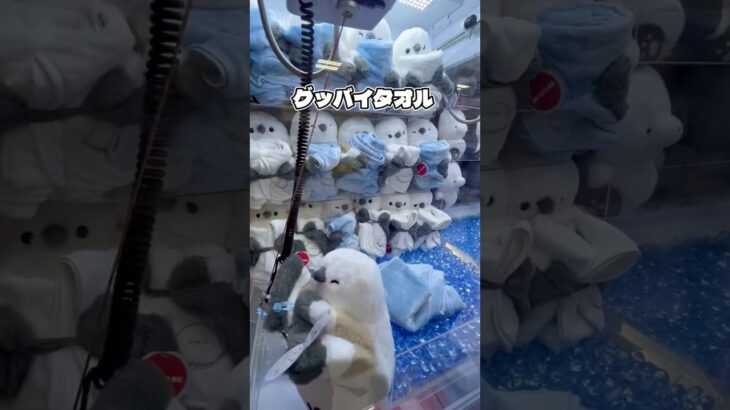 【ハプニング】寄せるイメージ！フォローもお願いします！ #クレーンゲーム #ufoキャッチャー #ゲームセンター #cranegame #clawmachine #攻略#happening #クレゲ