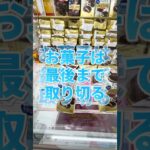 沼っても取り切れば、経験値たまるよ！#クレーンゲーム #ufoキャッチャー #ゲームセンター #攻略 #ベネクス #ラウンドワン #shorts #followme