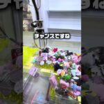 いろいろ乱獲してきた！#クレーンゲーム #ufoキャッチャー #ゲームセンター #攻略 #ベネクス #ラウンドワン #shorts #followme