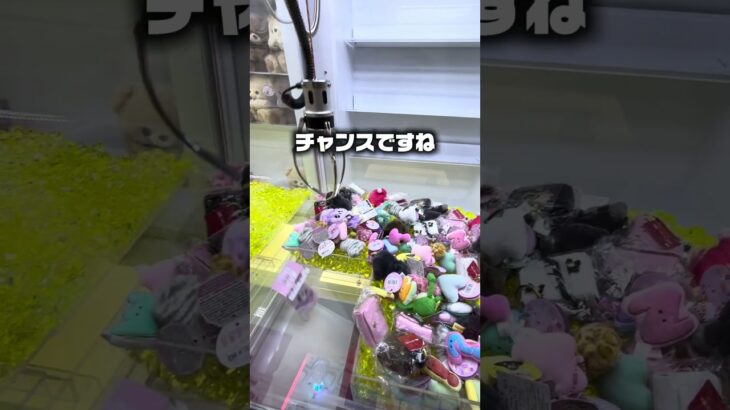 いろいろ乱獲してきた！#クレーンゲーム #ufoキャッチャー #ゲームセンター #攻略 #ベネクス #ラウンドワン #shorts #followme
