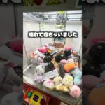 黒いカプセルが怪しいので取ります！#クレーンゲーム #ufoキャッチャー #ゲームセンター #攻略 #ベネクス #ラウンドワン #shorts #followme