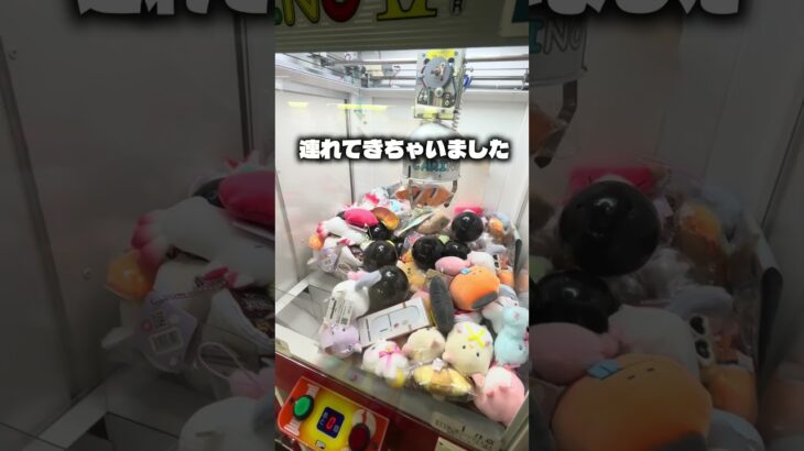 黒いカプセルが怪しいので取ります！#クレーンゲーム #ufoキャッチャー #ゲームセンター #攻略 #ベネクス #ラウンドワン #shorts #followme