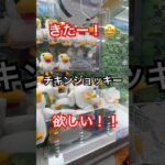 激レアモブ💖チキンジョッキー！！🤩欲しい✨ #わいちゃんち #クレーンゲーム #小学生女子 #ゲームセンター #ufoキャッチャー #ufoキャッチャー動画 #ufoキャッチャー攻略