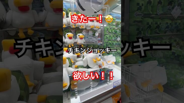 激レアモブ💖チキンジョッキー！！🤩欲しい✨ #わいちゃんち #クレーンゲーム #小学生女子 #ゲームセンター #ufoキャッチャー #ufoキャッチャー動画 #ufoキャッチャー攻略