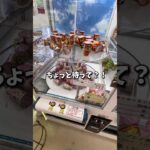 【ゲーセン】物価高騰でお菓子が高くなり過ぎているので、クレーンゲームで買うより安く取れるのか検証してみた🔥