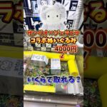 【ゲーセン】サンリオ×ジェラピケのコラボぬいぐるみがクレーンゲームに入ってたので、いくらで取れるか挑戦してみた🔥
