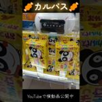 #クレーンゲーム #攻略 #ドミノ置き #カルパス #買うより安い