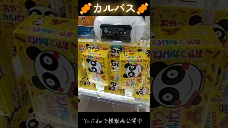 #クレーンゲーム #攻略 #ドミノ置き #カルパス #買うより安い