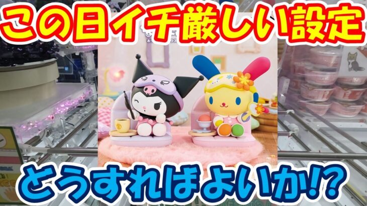 【クレーンゲーム】【倉庫系】#万代山梨 でこの日イチ厳しい設定に苦悩… #クロミ #ウサハナ #サンリオ #なかよしメモリーズ