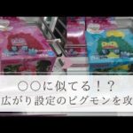 厚箱を末広がり設定で攻略してきました🔥【クレーンゲーム】