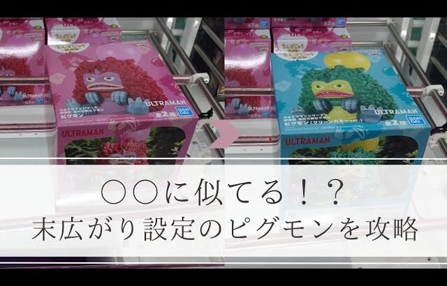 厚箱を末広がり設定で攻略してきました🔥【クレーンゲーム】