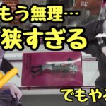 【クレーンゲーム】初日設定はやっぱり狭いね…