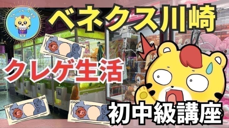 【ライブ配信】クレーンゲーム攻略｜フィギュアを最短で取るプロの台選び＆テクニック解説【ベネクス川崎】