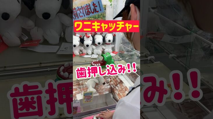 【ワニキャッチャー】歯を押し込みで景品ゲット！？