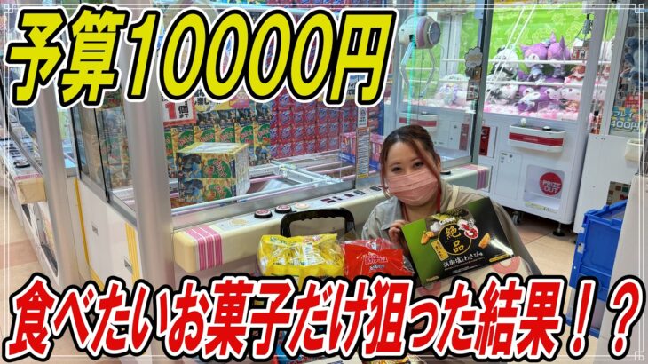 【クレーンゲーム】全国展開しているゲーセンが獲れすぎてヤバい！【ハピピランドこどもの国店】
