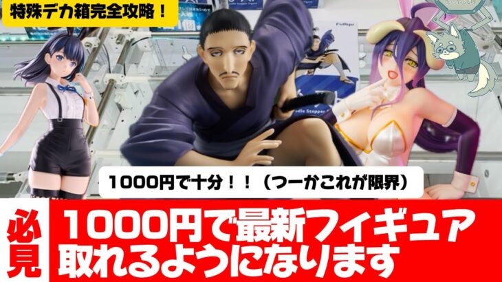 【クレーンゲーム】デカ箱長箱長長箱すべて攻略！！ぬーすとの特徴もわかります！