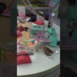 回転しない意味不明台#クレーンゲーム