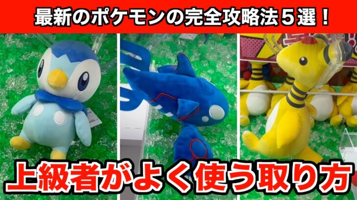 【ポッチャマ・カイオーガ・デンリュー】知らなきゃ損！クレーンゲームで最新のポケモンのぬいぐるみを確率無視で取る神テク５選！