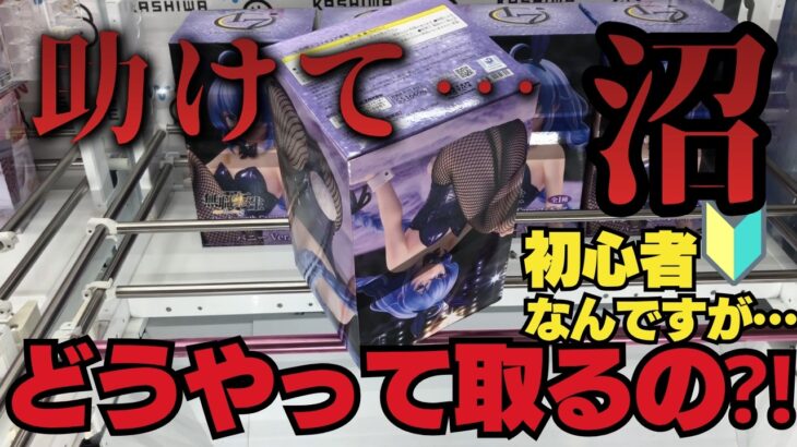 【復讐】アシストまで沼らされた景品に、手作り橋渡しで修行して再挑戦した結果…【クレーンゲーム】