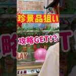 【珍景品クレゲ】予想外の攻略ゲット！！！