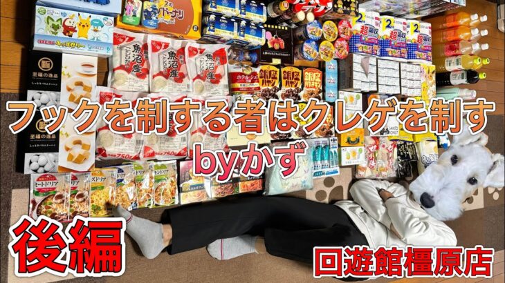 【後編】安定にフック爆取れの回遊館でした【ゲームセンター】