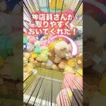 【クレーンゲーム】  優しい店員さん‼️
