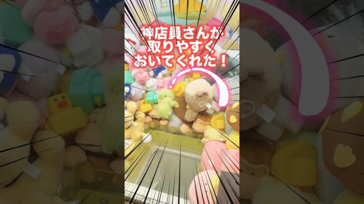 【クレーンゲーム】  優しい店員さん‼️