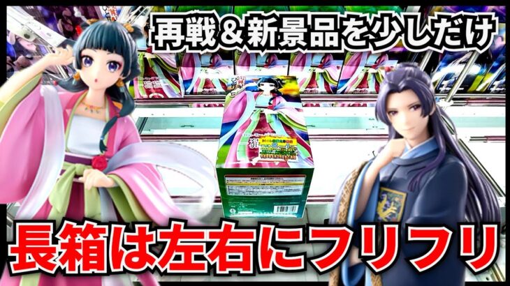 【クレーンゲーム】新景品を少しだけ遊んでみる！長箱は左右にフリフリ大作戦！？