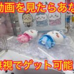 【ちいかわ】プリンセス誕生日ぬいぐるみを超高速で取ってきたよ♡