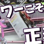 【クレーンゲーム】新景品をいーっぱい遊んで楽しい気分になっちゃおう！【ゲームピュア】【楽しかった】