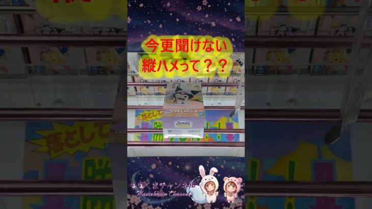 【クレーンゲーム】今更聞けない「縦ハメ」の基本！脱・初心者への第一歩「縦ハメ」のやり方を解説！【ももくま】 #橋渡し設定 #クレーンゲーム #攻略