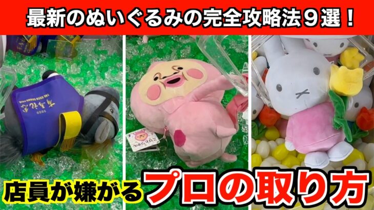 【こびとづかん・クロノジェネシスなど】最新のぬいぐるみ攻略！クレーンゲームで知らないと損する取り方９選！