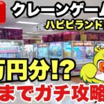 【クレーンゲーム】閉店まで本気でやった結果…話題の新設定がやばすぎる！？🔥｜ハピピランド東大宮店