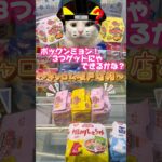 ポックンミョン⭐️#クレーンゲーム #焼きそば #ユーフォーキャッチャー #プライズ景品 #ねこ