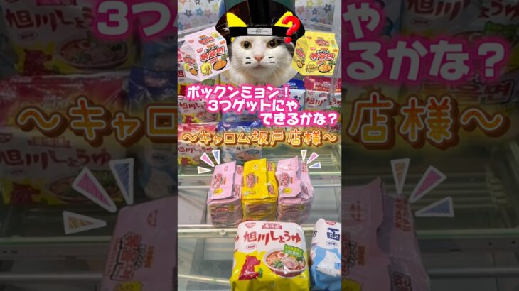 ポックンミョン⭐️#クレーンゲーム #焼きそば #ユーフォーキャッチャー #プライズ景品 #ねこ