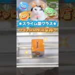 たぬはベス狙い⭐️#クレーンゲーム #プライズ景品 #ドラクエ #グラス #ユーフォーキャッチャー #ねこ