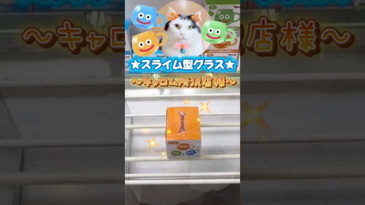 たぬはベス狙い⭐️#クレーンゲーム #プライズ景品 #ドラクエ #グラス #ユーフォーキャッチャー #ねこ