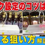 フック設定攻略のコツはこれ！見れば獲れる解説つき