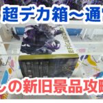 【クレーンゲーム】超デカ箱、通常箱攻略！［橋渡し］