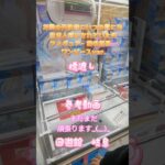 【クレーンゲーム】お隣の天使様にいつの間にか 駄目人間にされていた件 フィギュア- 椎名真昼 – ワンピースver. 橋渡し  参考動画 回遊館 岐阜 #クレーンゲーム #クレゲ #ufoキャッチャー