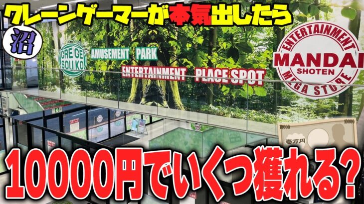 【驚愕】大波乱の予感！？埼玉で話題のあのゲーセンに突撃した結果がヤバすぎたw【クレーンゲーム】