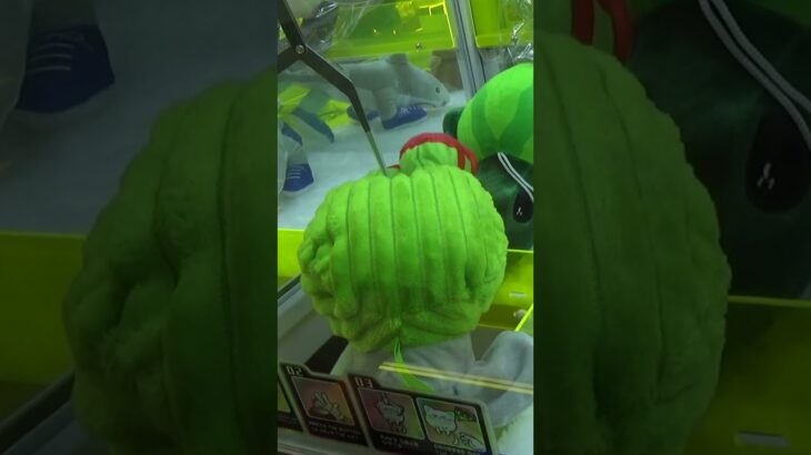 なぜか取りまくれるぬいぐるみ達w#クレーンゲーム