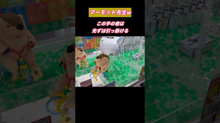 【クレーンゲーム】この手の人形は体幹次第wとりあえず引っ掛けて後ろから倒すべし！【ufoキャッチャー】【ユーフォーキャッチャー】【クレーンゲームのコツ】