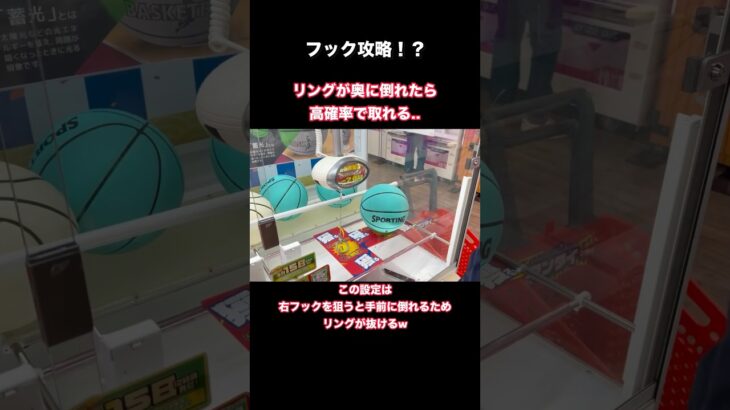 【クレーンゲーム】フック設定の癖？wフックが得意になりました。的中確率爆上がり！（実践上）【ufoキャッチャー】【フック設定】【ゲーセン】