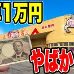 【クレーンゲーム】予算1万円で初見のゲーセンに挑んだらヤバイ結果に！？