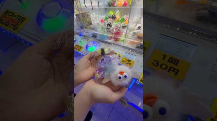 10円キャッチャーで珍しい景品を狙ったら… #クレーンゲーム #ufoキャッチャー #ぬいぐるみ #10円キャッチャー
