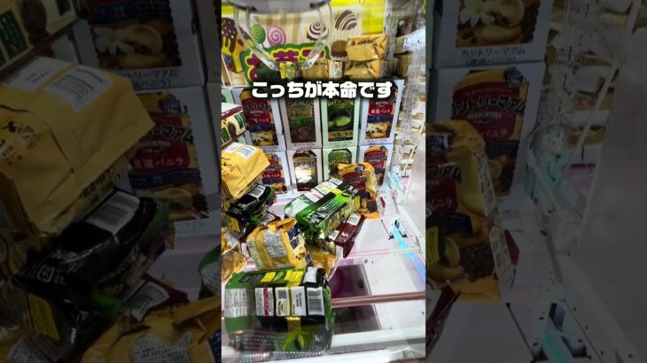 クレーンゲームで100円でバグ起きたんだが…これお店の人に言うべき？😂 #clawmachine #shorts #攻略 #クレーンゲーム #ufoキャッチャー