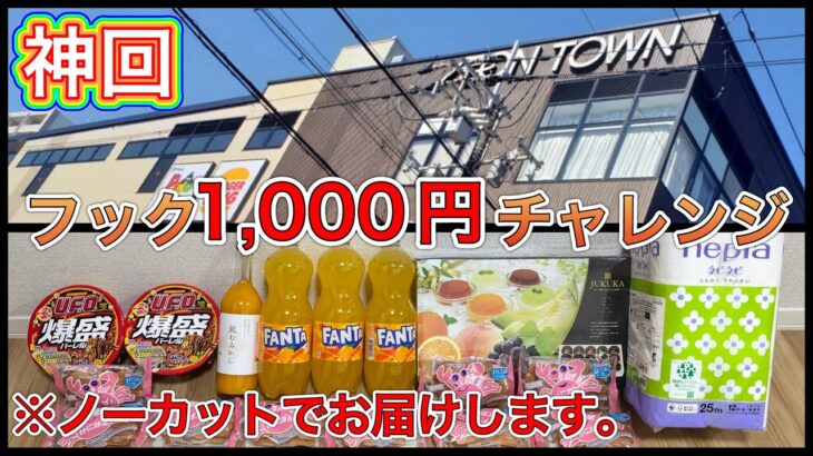 フック1000円チャレンジ企画！神回きた【ゲームセンター】