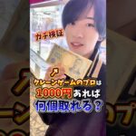 【ゲーセン】1000円で景品何個取れるかガチで検証してみた🔥(クレーンゲーム)