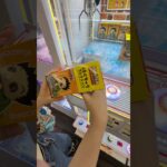 箱の中身は何⁉︎1000円以内に人気景品を取ろうとしたら… #クレーンゲーム #ufoキャッチャー #ゲームセンター #ハンターハンター